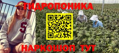 mix Тверь