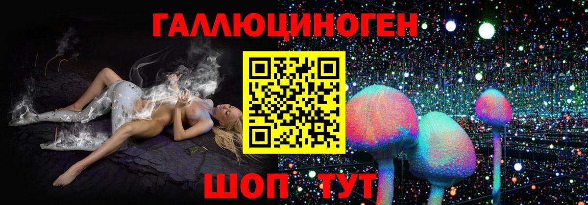 Псилоцибиновые грибы ЛСД Нальчик
